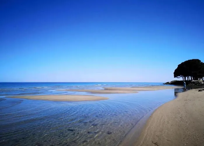 In Moriani-plage By The Apartamento