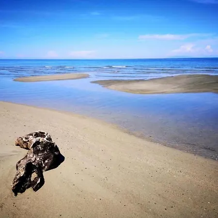 アパート In Moriani-plage By The *